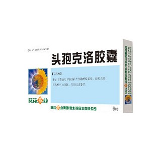 頭孢克洛膠囊(葵花藥業(yè))