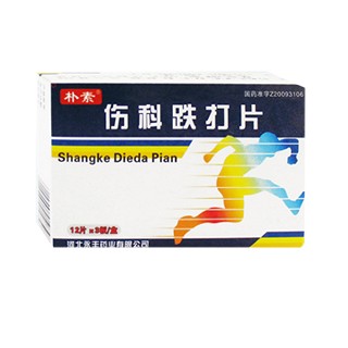 傷科跌打片(樸素) 傷科跌打片(樸素)