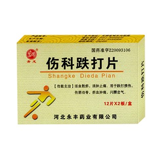 傷科跌打片(樸素) 傷科跌打片(樸素)