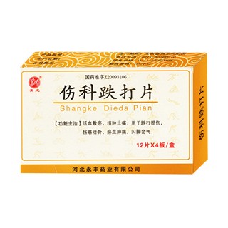 傷科跌打片(樸素) 傷科跌打片(樸素)