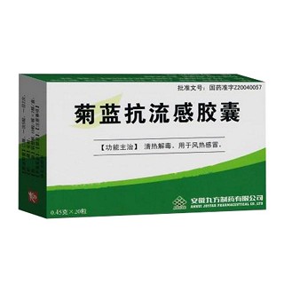 菊藍(lán)抗流感膠囊(九方)