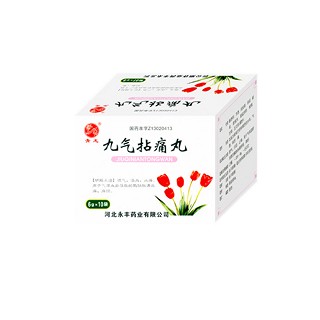 九氣拈痛丸(青龍) 九氣拈痛丸(青龍)