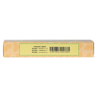 銀翹解毒丸(9g*10s)