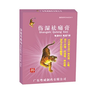 消炎鎮(zhèn)痛膏(粵威)