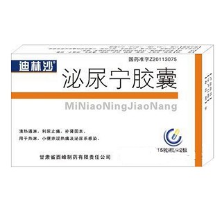 泌尿?qū)幠z囊(迪林沙)