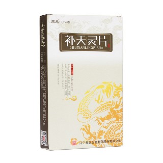 補(bǔ)天靈片(天龍)