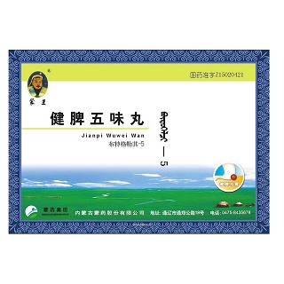 健脾五味丸(蒙藥股份)
