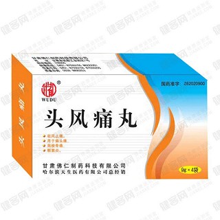 頭風(fēng)痛丸(佛仁)