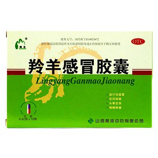 羚羊感冒膠囊(黃河)