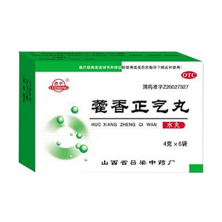 藿香正氣丸(呂中)