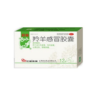 羚羊感冒膠囊(旺龍)