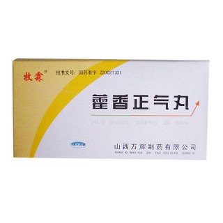 藿香正氣丸(牧霖)