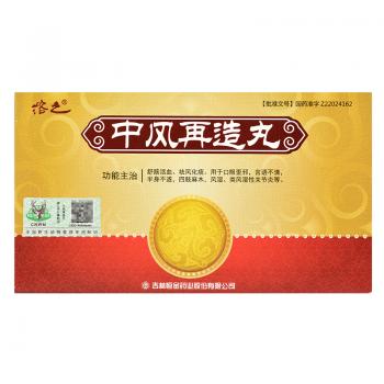 中風再造丸(溶之)