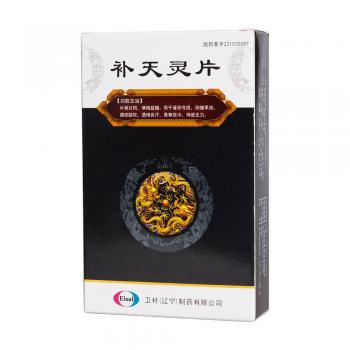 補(bǔ)天靈片(天龍)