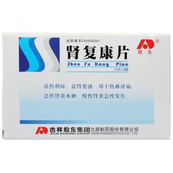 腎復(fù)康片(敖東)