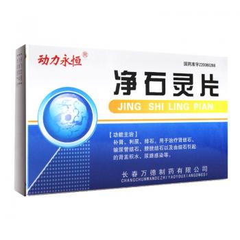 凈石靈片(動(dòng)力永恒)