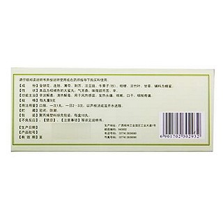 銀翹解毒丸(梧州制藥) 銀翹解毒丸(梧州制藥)