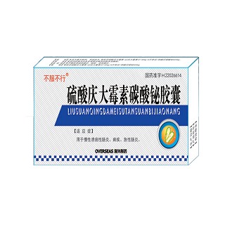 硫酸慶大霉素碳酸鉍膠囊(海外) 硫酸慶大霉素碳酸鉍膠囊(海外)