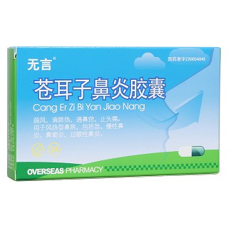 蒼耳子鼻炎膠囊(無言) 蒼耳子鼻炎膠囊(無言)