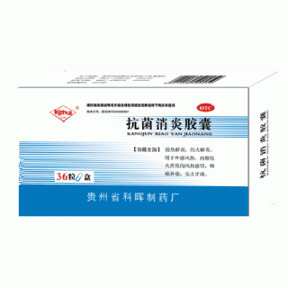 抗菌消炎膠囊 抗菌消炎膠囊