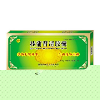 桂蒲腎清膠囊(君吒)