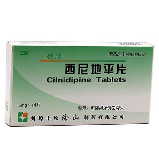 致欣(西尼地平片)