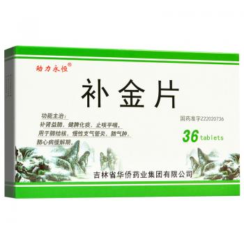 補(bǔ)金片(動(dòng)力永恒)