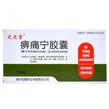 痹痛寧膠囊(天芝堂) 痹痛寧膠囊(天芝堂)