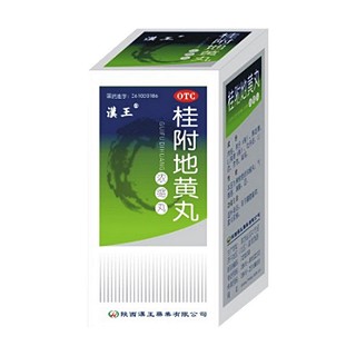 桂附地黃丸(漢王)
