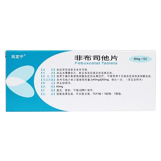 非布司他片(風(fēng)定寧) 非布司他片(風(fēng)定寧)