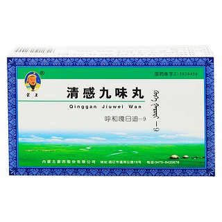 清感九味丸(蒙藥股份)