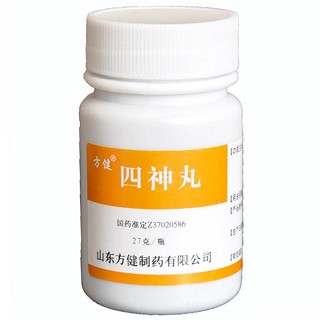 四神丸(方健)